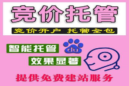 成功案例：SEM竞价代运营助力品牌崛起